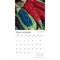 Mercados de Mexico | Markets of Mexico | 2026 12 x 24 Inch (Hanging) Monthly Square Wall Calendar | English/Spanish Bilingual | Plastic-Free